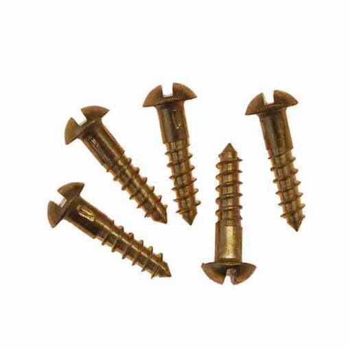 POLISHED BRASS ROUND HEAD SLOTTED WOOD SCREWS 20 COUNT 5X5/8 BM-1009PB