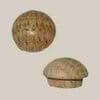 FLANGED ROUND HEAD BUTTON PLUGS 50 COUNT 7/16 OAK W3-6537